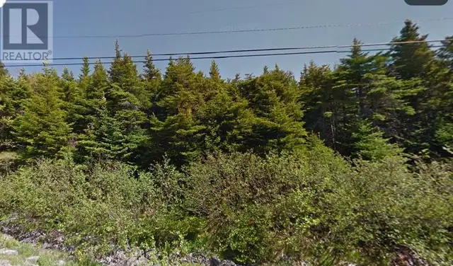 60-64 Doran's Lane Outer Cove, Newfoundland & Labrador in Land for Sale in St. John's - Image 2
