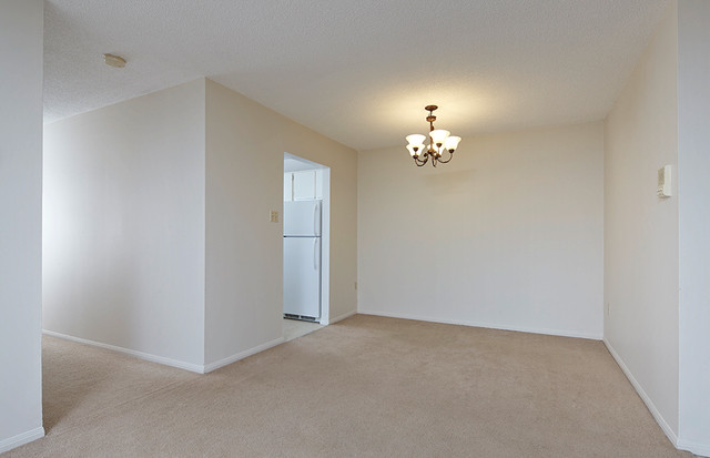 Two Bedroom Apartment for Rent in Mississauga Near Highway 401 in Long Term Rentals in Mississauga / Peel Region - Image 4