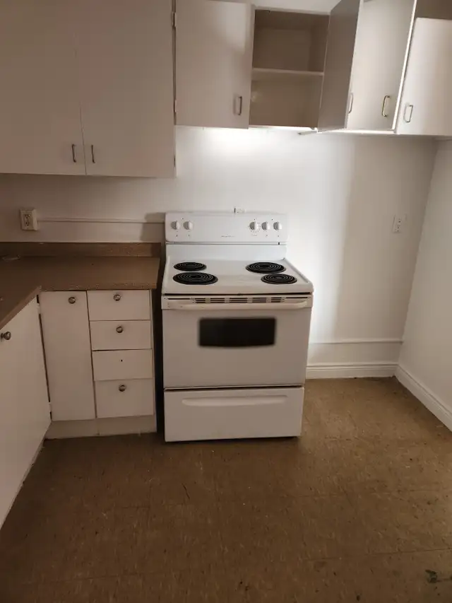 2 Bed with 1 Mo. Free Rent + extra $100 off for Seniors! in Long Term Rentals in Chatham-Kent - Image 4