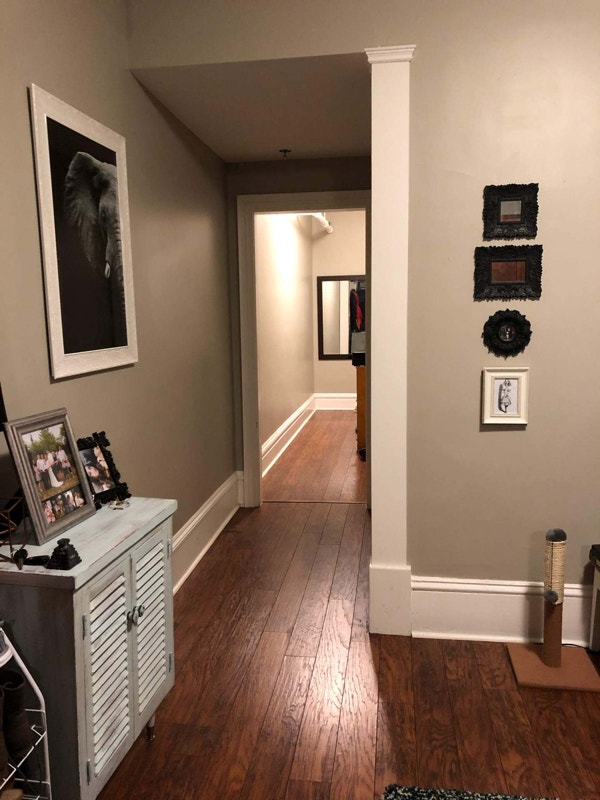Two Bed Two bath North end Halifax Available Sept 1st Long Term