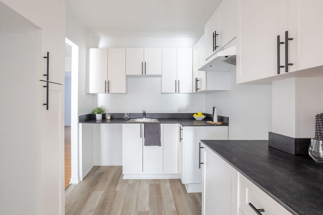 25-35 chemin Richelieu — photo 3