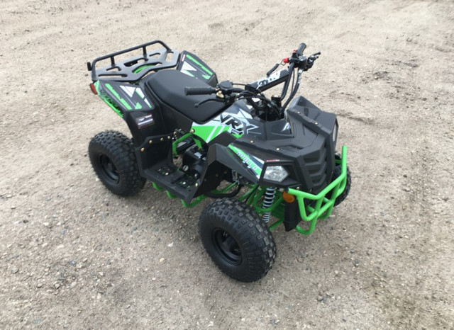 SPECIAL CLEARANCE SALE ON ATVS/QUADS/DIRT BIKES/DUNE BUGGYS/UTVS in ATVs in Winnipeg - Image 4