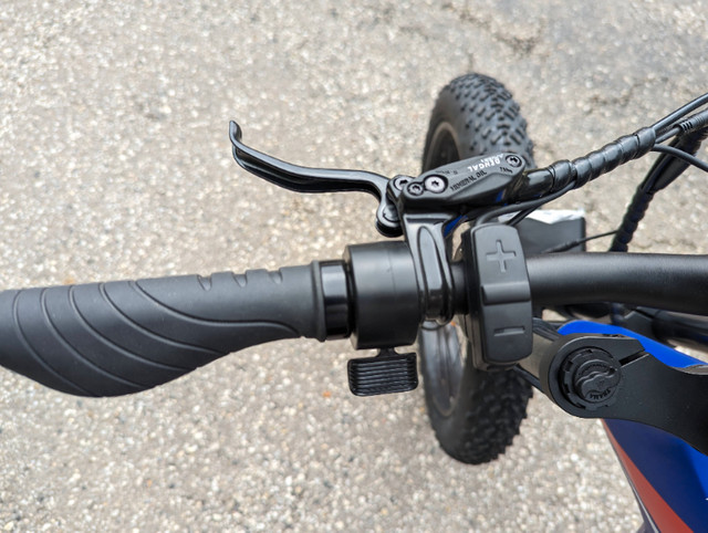 1500W Fat Tire Mountain Bike 67 km/h Free Shipping Warranty in eBike in Abbotsford - Image 4