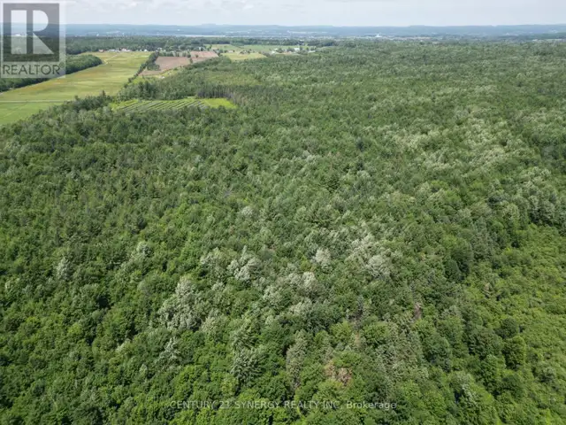 00 CONCESSION 4 ROAD Alfred and Plantagenet, Ontario in Land for Sale in Ottawa - Image 10