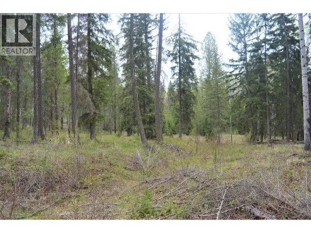 LOT 1 Hardie Creek Road Fairmont Hot Springs, British Columbia in Land for Sale in Cranbrook - Image 27