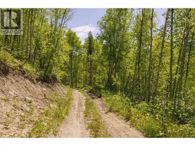 3260 MOUNTAIN VIEW ROAD McBride, British Columbia in Land for Sale in Quesnel - Image 9