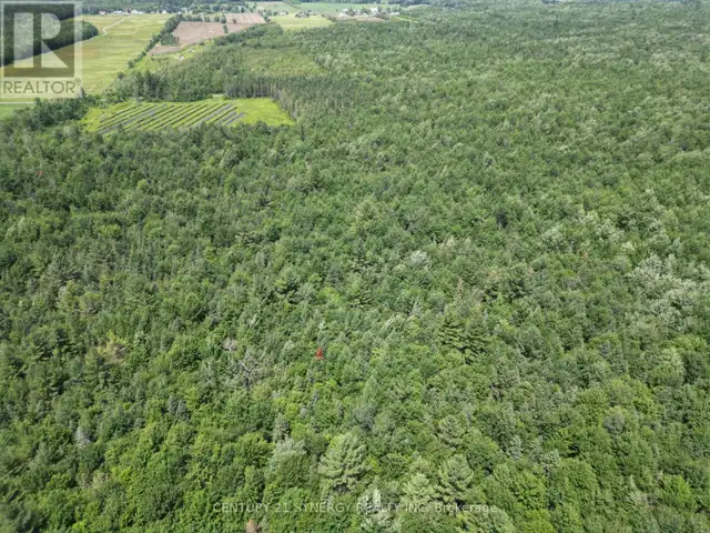 00 CONCESSION 4 ROAD Alfred and Plantagenet, Ontario in Land for Sale in Ottawa - Image 8
