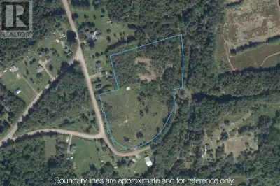 5.57 ACRE LOT! This lot is perfectly situated in the county, just a 10 minute drive to Amherst. Grea...