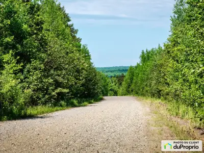 Au pied du mont Mégantic, beau terrain zoné blanc, boisé et construisible, délectricité disponible,...