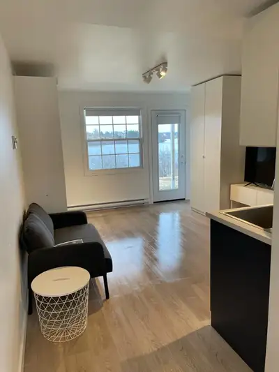 Lake Living - Furnished Studio Apartment on Doctor's Lake (All Inclusive) Lakeside Suites, formerly...