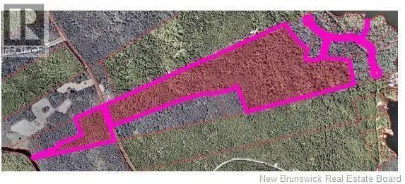 Lot 25 Misty Mountain Road Elmsville, New Brunswick in Land for Sale in Saint John - Image 5