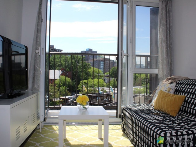 $350,000 - Condominium in Ville-Marie (downtown, old Mtl) — photo 3