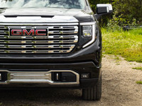 The 2025 GMC Sierra 1500 Denali blends luxury and performance in a striking, capable full-size picku... (image 3)