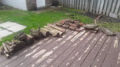 FREE STUFF FOR THE YARD, View more