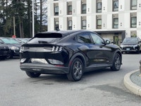 Shadow Black with Black Onyx Activex 62,015 KMS 68KWH Usable Standard Battery 1-Speed Automatic RWD... (image 7)