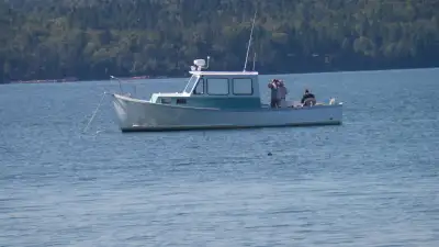 Nice 31ft Duffy Boat [hull only] contains Cummins 210 diesel engine set on Rolls Royce engine mounts...