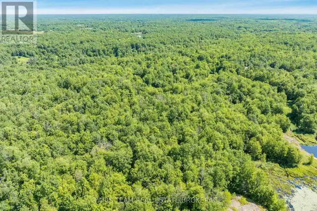PART LOT 28 CONCESSION 12 BLACK RIVER ROAD Kawartha Lakes (Dalto in Land for Sale in Barrie - Image 6