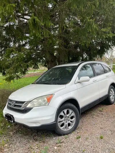 Great reliable 2010 Honda CR-V, very clean, no rust, NO!!! LIGHTS ON** great on Gas** A1 condition i...