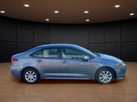 The 2023 Toyota Corolla LE in gray is a forward-thinking sedan that seamlessly marries stylish desig... (image 4)