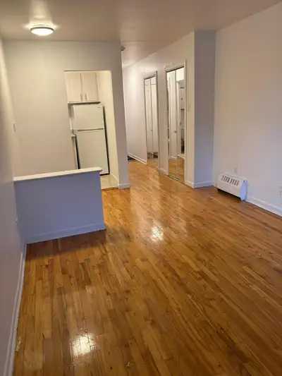 1 1/2 studio 2350 Mariete street @ 1020$