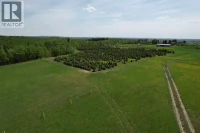 Build your dream acreage and take advantage of the agricultural zoning that offers incredible flexib...