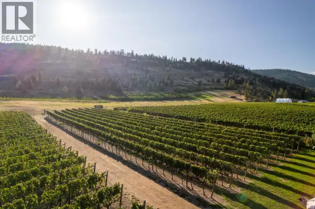 1116 Naramata Road Penticton, British Columbia in Land for Sale in Penticton - Image 14