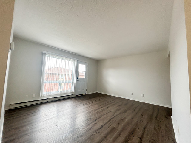 North Murray Street - Apartment for Rent in Downtown Trenton in Long Term Rentals in Trenton - Image 3