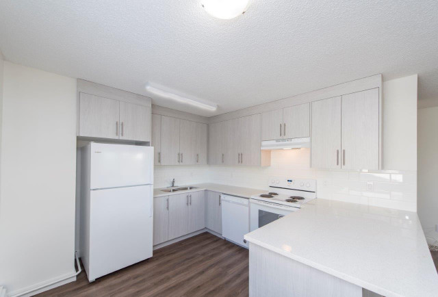 Bridgeland Apartment For Rent | Bridgeland Apartments in Long Term Rentals in Calgary - Image 4