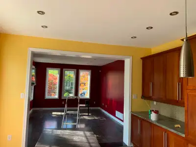 Professional Painting – Just $1.50/Sq Ft | Free Estimates, View more