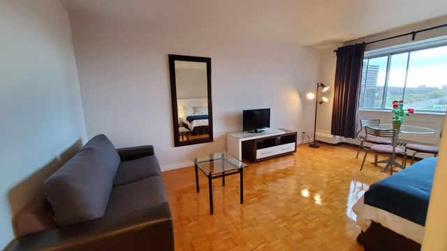 Suite Junior meublée -  à partir de mai 2024 dans Locations longue durée  à Ville de Montréal - Image 2