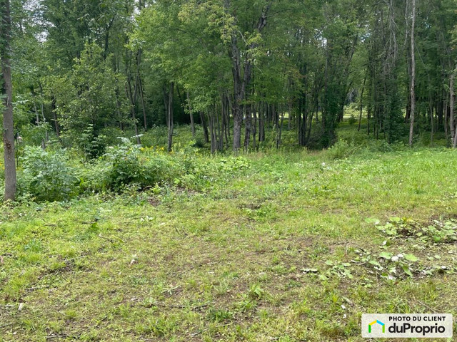 92 000$ - Terrain résidentiel à vendre à Ripon in Land for Sale in Gatineau - Image 4