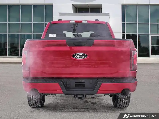 2025 Ford F-150 LOBO in Cars & Trucks in Edmonton - Image 7