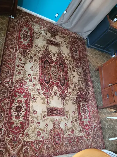 Beautiful area rug very soft No longer using so time to sell, View more