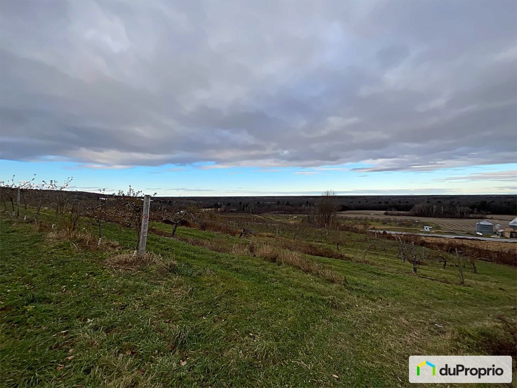 $1,500,000 - Farm for sale in Dunham — photo 3