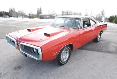 ATTN: AMERICAN BUYERS THE PRICE IS IN CANADIAN FUNDS, PLEASE CALL FOR USA DOLLAR RATES. A beautiful...