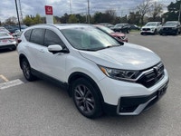 Come visit our London Honda team, you can find us at 560 Wharncliffe Rd S, London, ON, N6J 2N4, or c... (image 2)