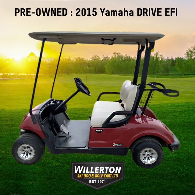 Pre-Owned Golf Carts- SALE in Golf in Edmonton - Image 3
