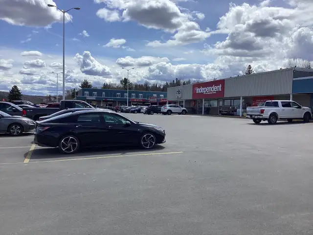 Garden Home For Rent in Nackawic in Long Term Rentals in Fredericton - Image 5