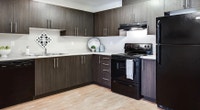Broadstreet's Parkside Terrace offers 1, 2, and 3 bedroom pet friendly apartments for rent in the ch... (image 4)