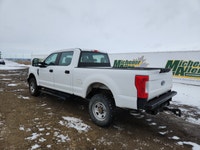 Michener Allen Auctioneering Ltd ( PV ) - Edmonton HIGH BID SUBJECT TO SELLERS APPROVAL CARFAX REPOR... (image 1)