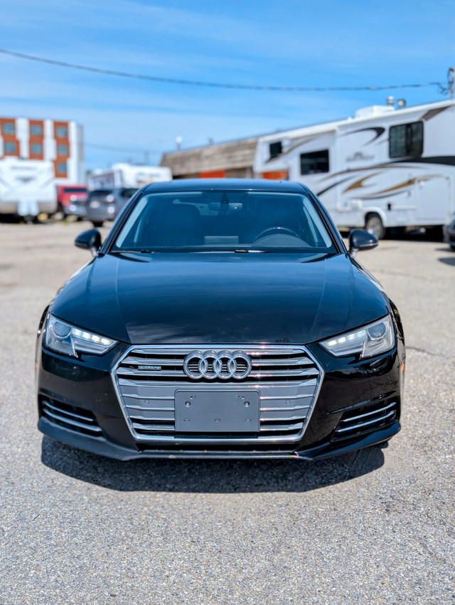 2017 Audi A4 Progressiv AWD in Cars & Trucks in Calgary - Image 2