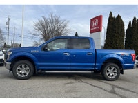 2017 FORD F-150 XLT - HEATED FRONT SEATS - BACKUP CAMERA - POWER WINDOWS - CRUISE CONTROL - KEYLESS... (image 1)