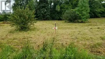 Ideal lot for smaller starter home-Old foundation-Drilled well and septic are on lot(Without warrant...