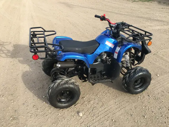 2025 BRAND NEW GIO BLAZER 125 ATV / QUAD / in ATVs in Brandon - Image 12
