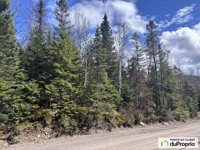 $180,000 - Residential Lot for sale in Val-David — photo 3