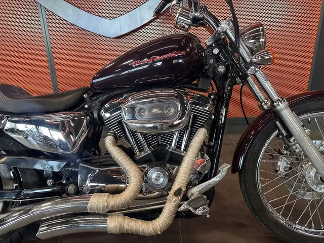 2006 Harley-Davidson 1200 Custom in Sport Bikes in Grande Prairie - Image 6