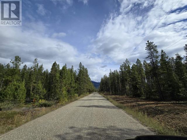 2350 BAILEY ROAD Valemount, British Columbia in Land for Sale in Quesnel - Image 2