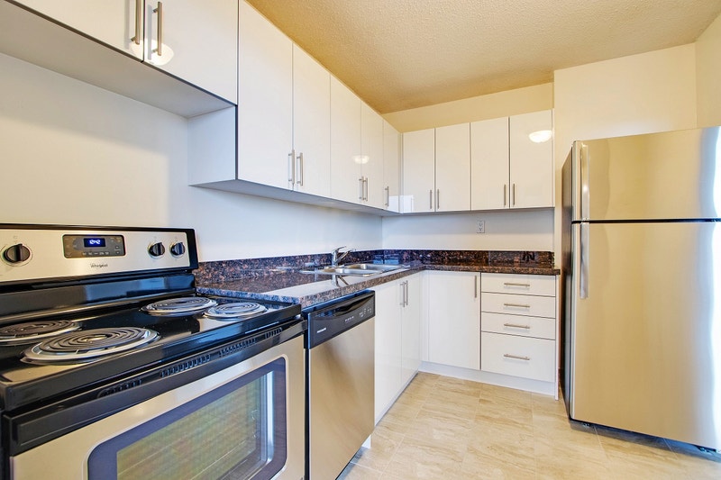 LARGE, RENOVATED 3 BEDROOM APARTMENT IN DUNDAS! Long Term Rentals