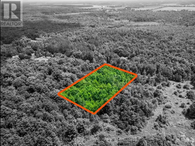 LOT BEAVER BROOK ROAD South Glengarry, Ontario in Land for Sale in Cornwall - Image 6