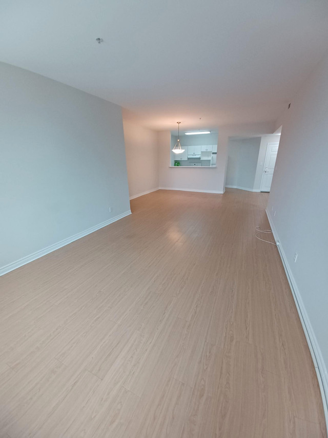 Downtown Moncton - 1 Bed unit, Available now, 4th floor !! in Long Term Rentals in Moncton - Image 3
